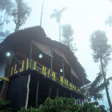 The Mountain Tree Home Ваянад Экстерьер фото