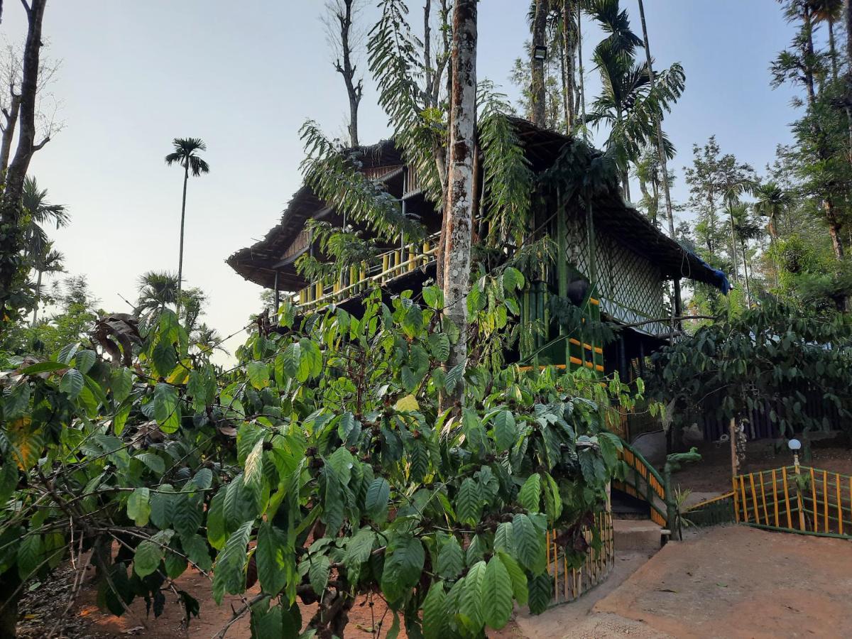 The Mountain Tree Home Ваянад Экстерьер фото