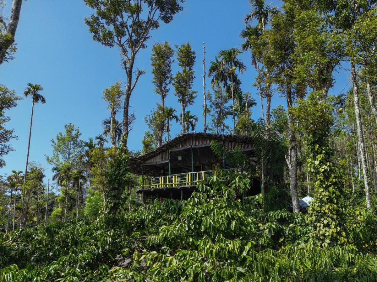 The Mountain Tree Home Ваянад Экстерьер фото