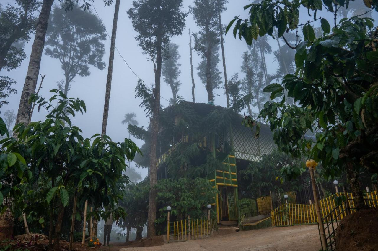 The Mountain Tree Home Ваянад Экстерьер фото