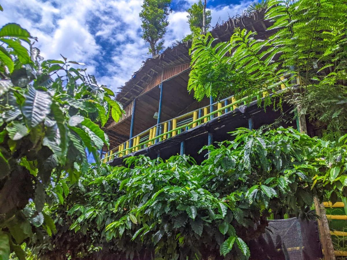 The Mountain Tree Home Ваянад Экстерьер фото